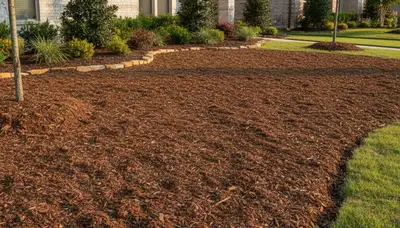 Fresh mulch installation with clean edges and rich color by landscaping pros in Houston, TX